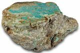 Polished Turquoise Section - Number Mine, Carlin, NV #292309-1